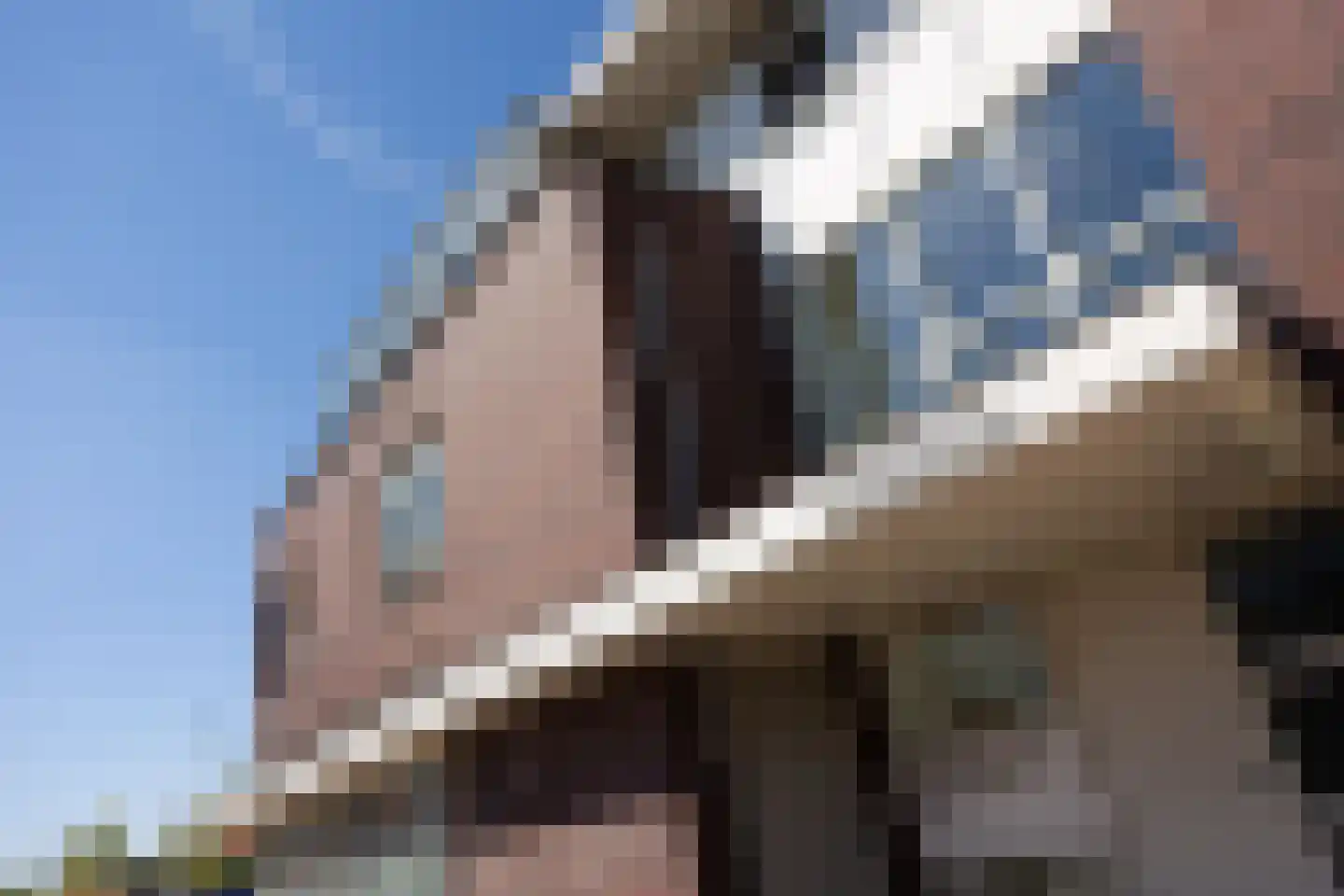 Prins Bernhardlaan 3 Vught thumbnail 29