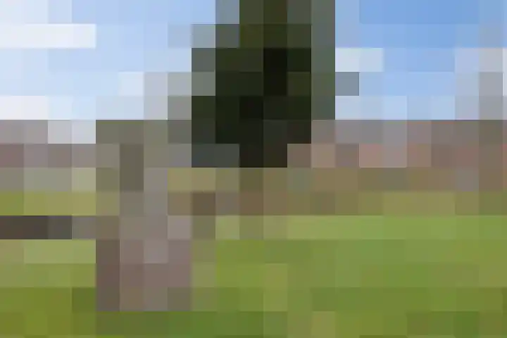 Prins Bernhardlaan 3 Vught thumbnail 37