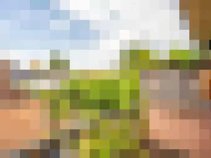 Prins Bernhardlaan 3 Zutphen thumbnail 18