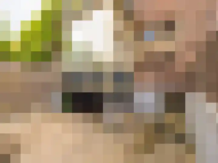 Prins Bernhardlaan 3 Zutphen thumbnail 25