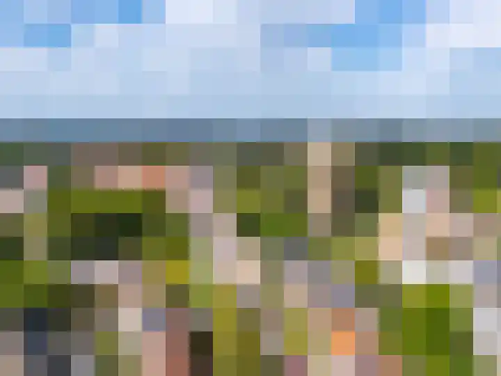 Prins Bernhardlaan 3 Zutphen thumbnail 30
