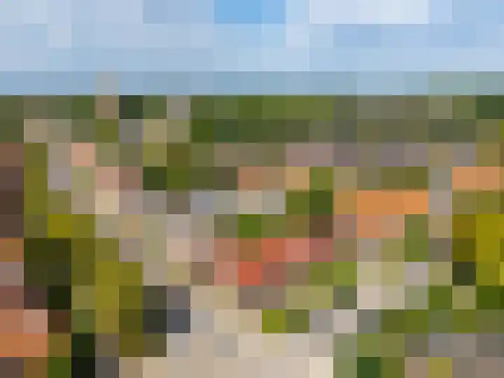 Prins Bernhardlaan 3 Zutphen thumbnail 31