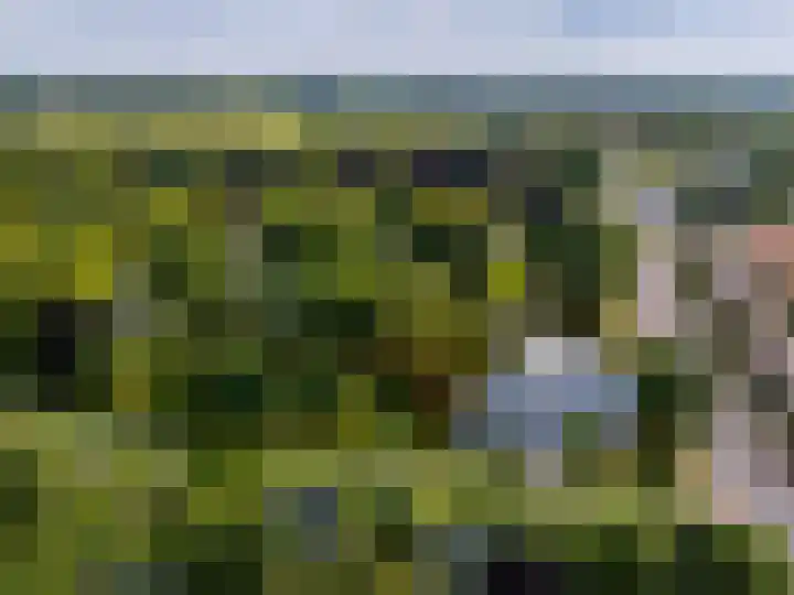 Prins Bernhardlaan 3 Zutphen thumbnail 32