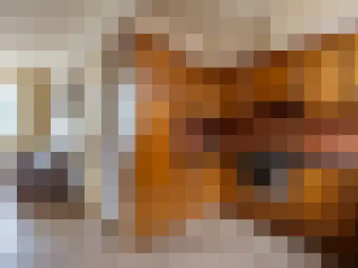 Prins Bernhardlaan 3 Zutphen thumbnail 8