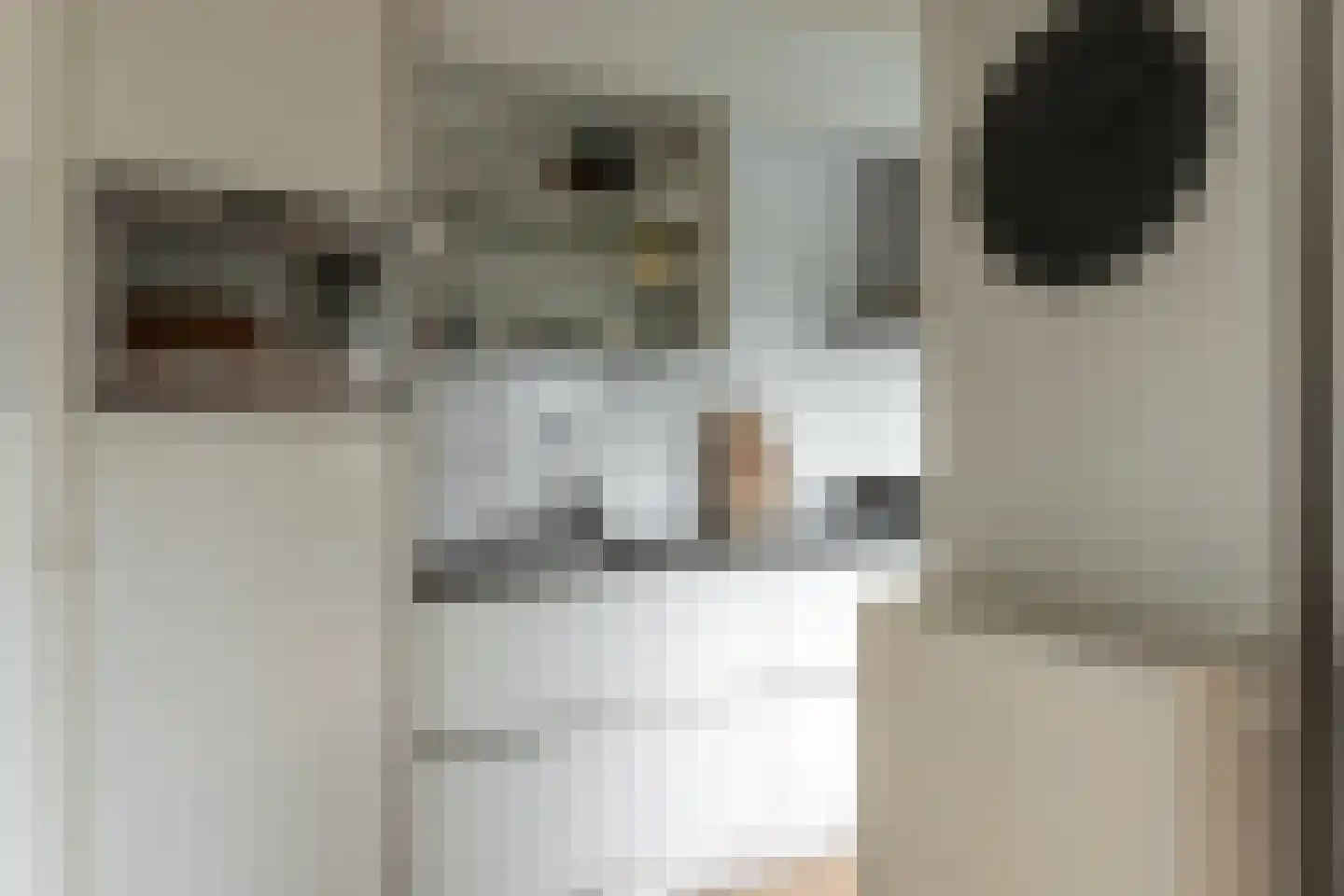 Prins Bernhardlaan 31 Joure thumbnail 11