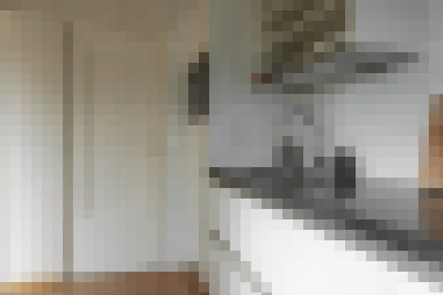 Prins Bernhardlaan 31 Joure thumbnail 13