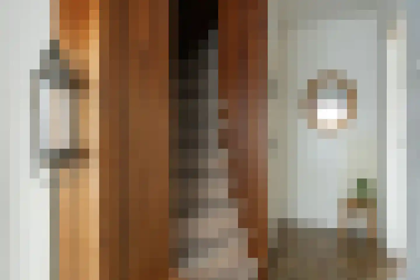Prins Bernhardlaan 31 Joure thumbnail 15