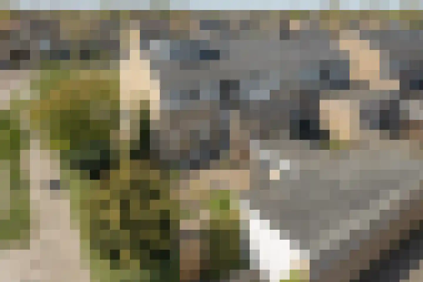 Prins Bernhardlaan 31 Joure thumbnail 27