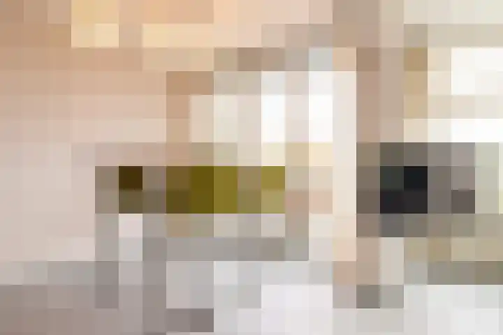 Prins Bernhardlaan 31 Katwijk thumbnail 8
