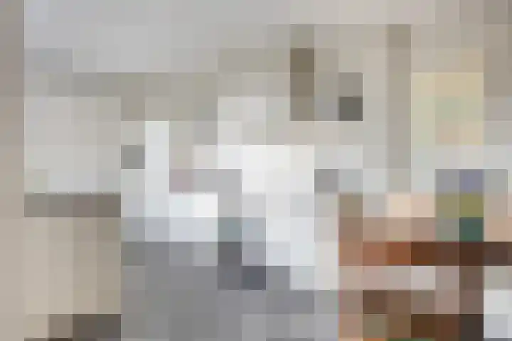 Prins Bernhardlaan 31 Zutphen thumbnail 10