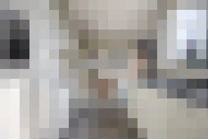 Prins Bernhardlaan 31 Zutphen thumbnail 11