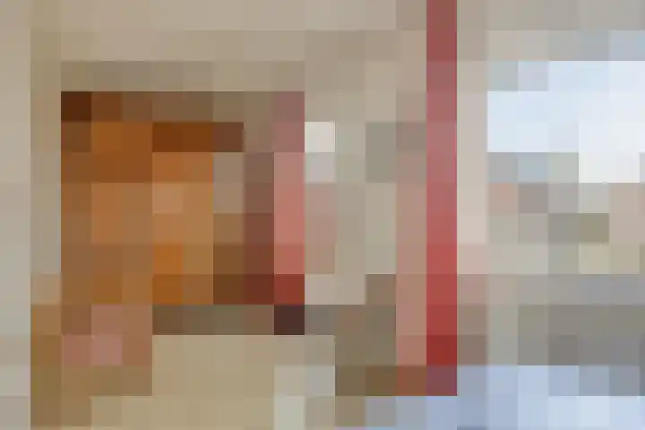 Prins Bernhardlaan 31 Zutphen thumbnail 22