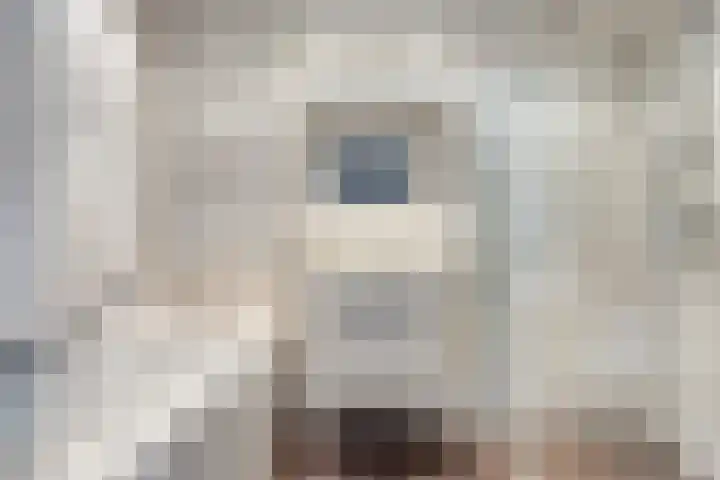 Prins Bernhardlaan 31 Zutphen thumbnail 24