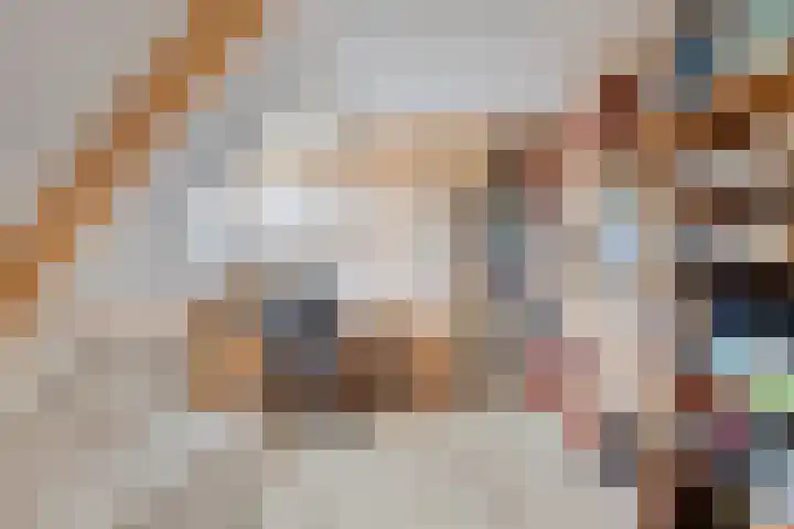 Prins Bernhardlaan 31 Zutphen thumbnail 28