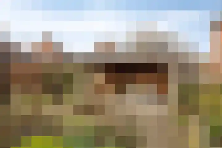 Prins Bernhardlaan 31 Zutphen thumbnail 36