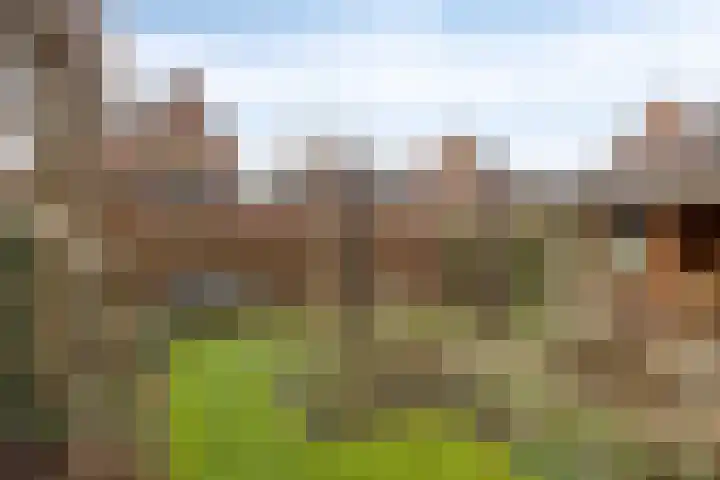 Prins Bernhardlaan 31 Zutphen thumbnail 37
