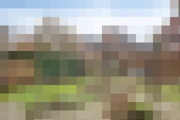 Prins Bernhardlaan 31 Zutphen thumbnail 38