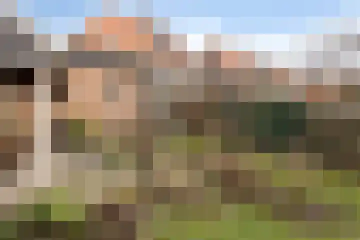 Prins Bernhardlaan 31 Zutphen thumbnail 39