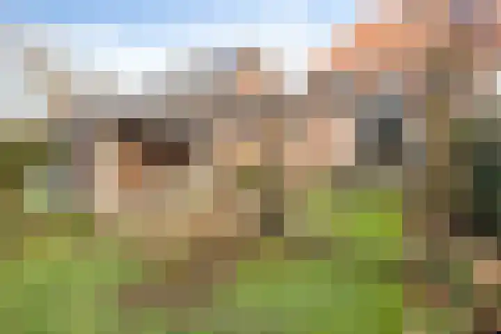 Prins Bernhardlaan 31 Zutphen thumbnail 40