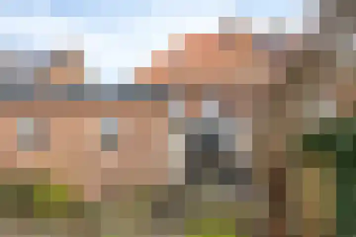 Prins Bernhardlaan 31 Zutphen thumbnail 41