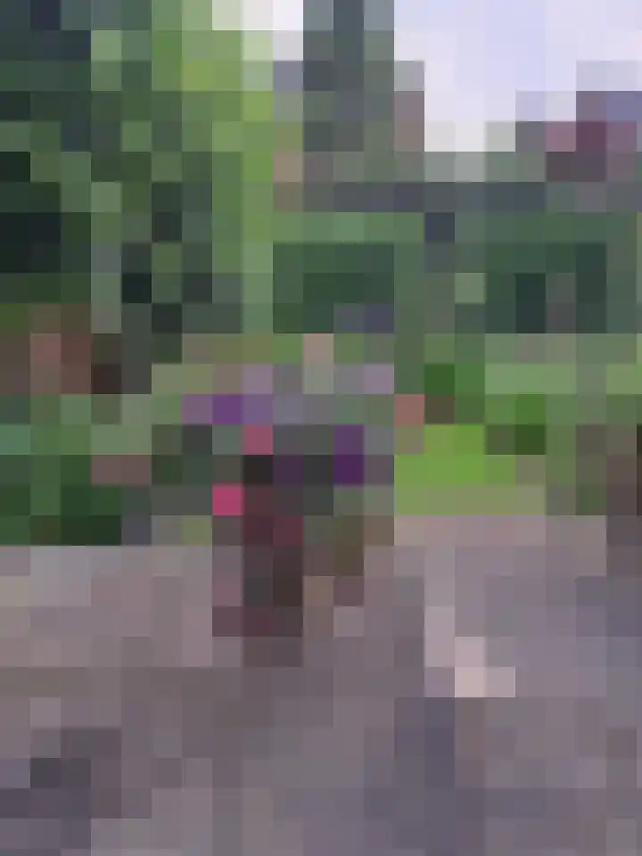 Prins Bernhardlaan 31 Zutphen thumbnail 43