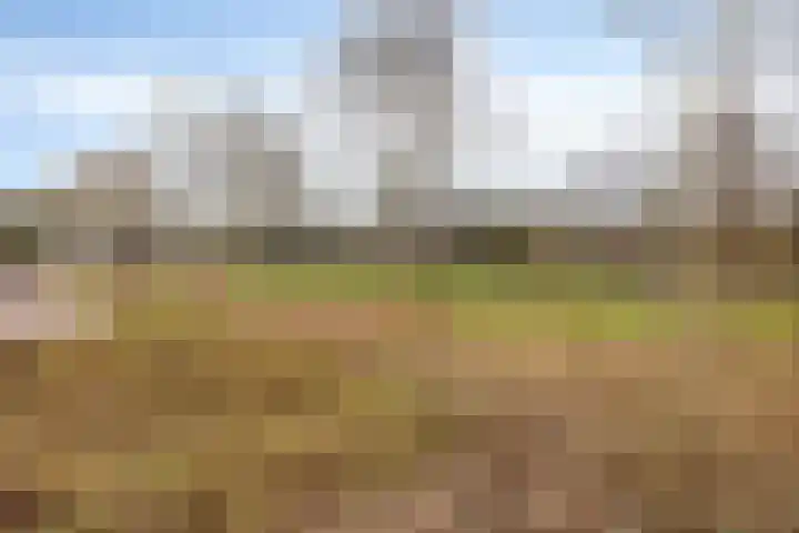 Prins Bernhardlaan 31 Zutphen thumbnail 46