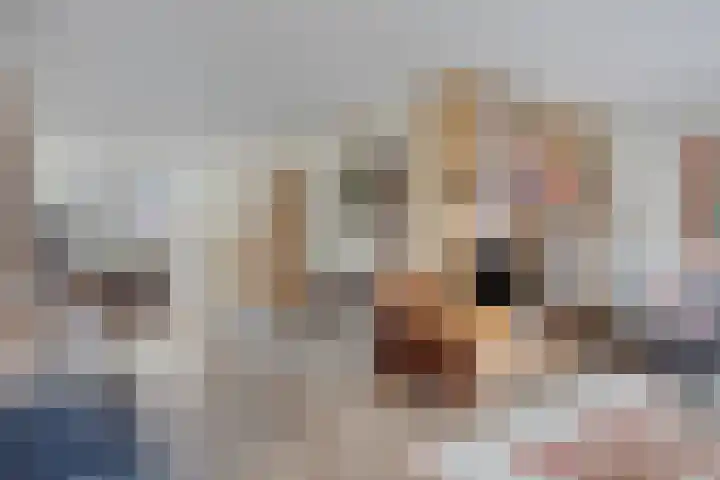 Prins Bernhardlaan 31 Zutphen thumbnail 6