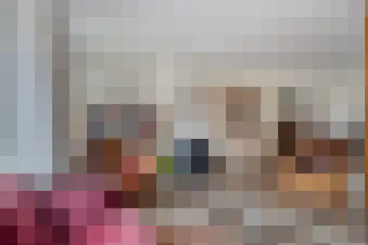 Prins Bernhardlaan 31 Zutphen thumbnail 7