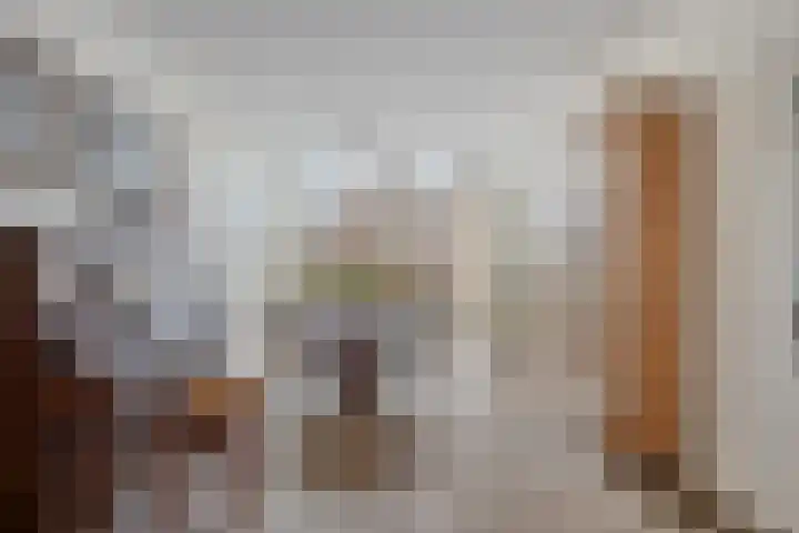 Prins Bernhardlaan 31 Zutphen thumbnail 8