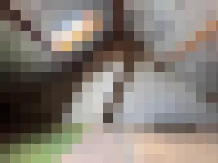 Prins Bernhardlaan 33 Enter thumbnail 18