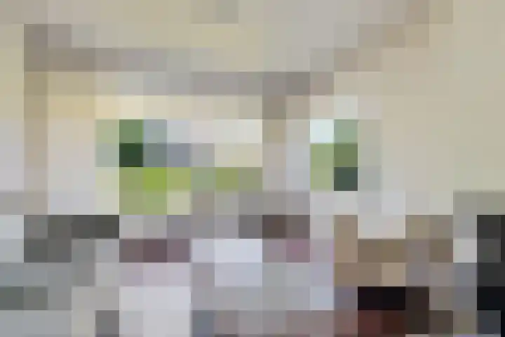 Prins Bernhardlaan 33 Joure thumbnail 12