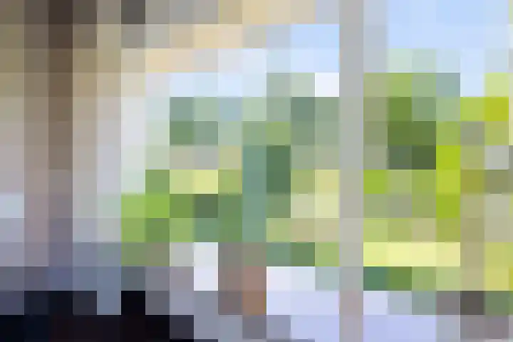 Prins Bernhardlaan 33 Joure thumbnail 13