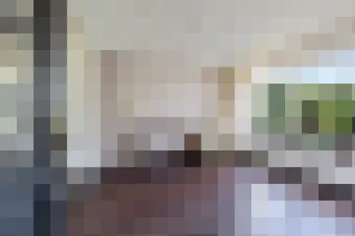 Prins Bernhardlaan 33 Joure thumbnail 16