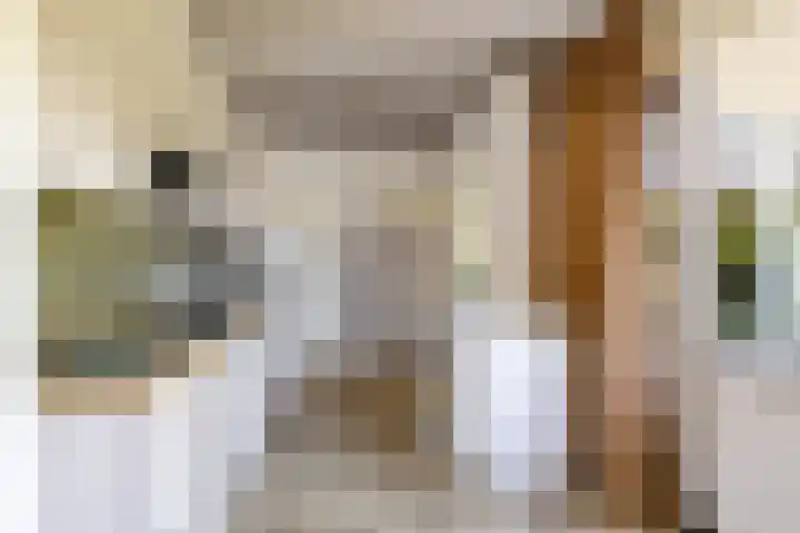 Prins Bernhardlaan 33 Joure thumbnail 19