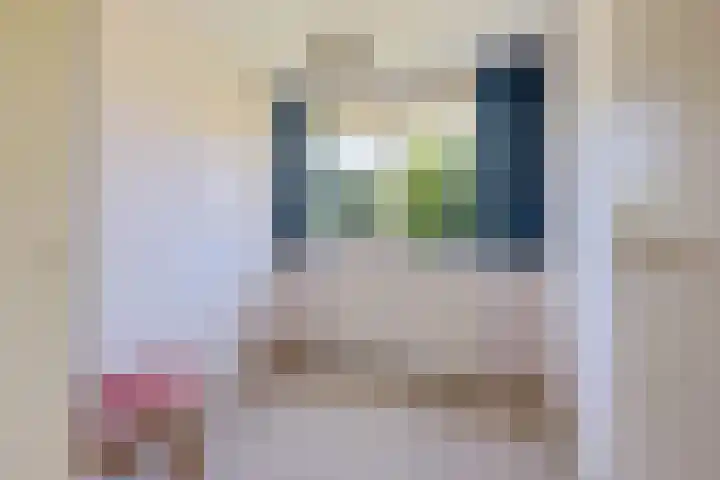 Prins Bernhardlaan 33 Joure thumbnail 22
