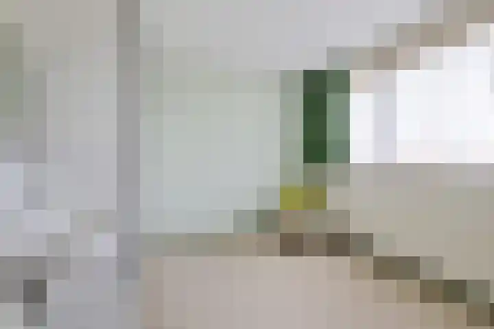 Prins Bernhardlaan 33 Joure thumbnail 25