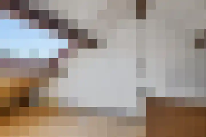 Prins Bernhardlaan 33 Joure thumbnail 28