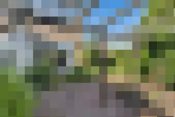 Prins Bernhardlaan 33 Joure thumbnail 31