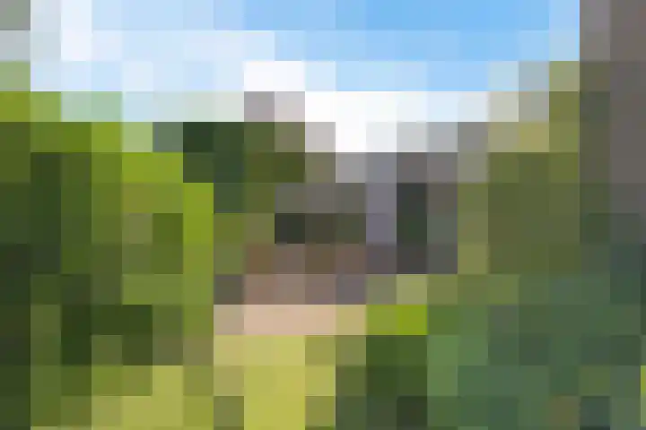 Prins Bernhardlaan 33 Joure thumbnail 32