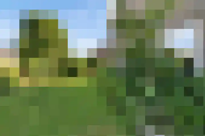 Prins Bernhardlaan 33 Joure thumbnail 34