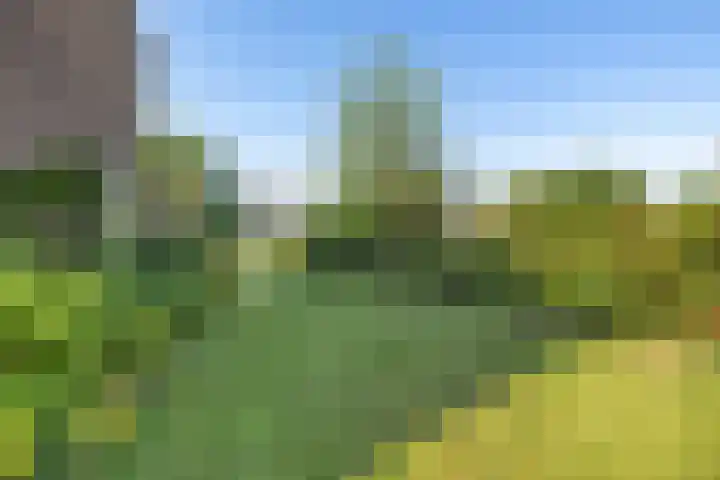 Prins Bernhardlaan 33 Joure thumbnail 35