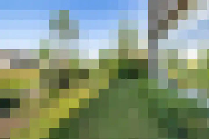 Prins Bernhardlaan 33 Joure thumbnail 36