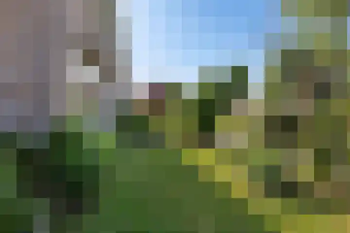 Prins Bernhardlaan 33 Joure thumbnail 37