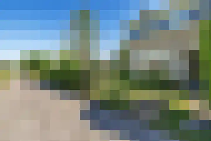 Prins Bernhardlaan 33 Joure thumbnail 38