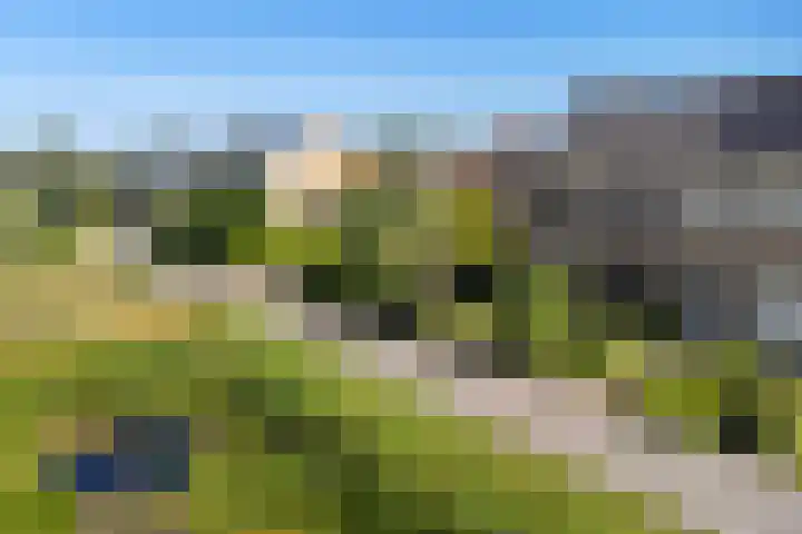 Prins Bernhardlaan 33 Joure thumbnail 40