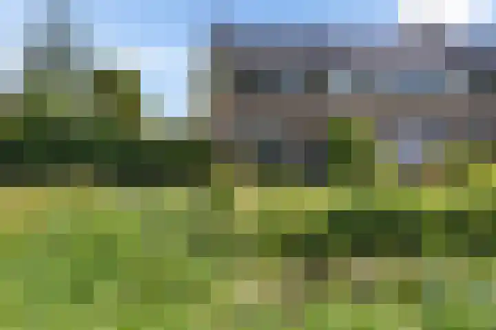 Prins Bernhardlaan 33 Joure thumbnail 42