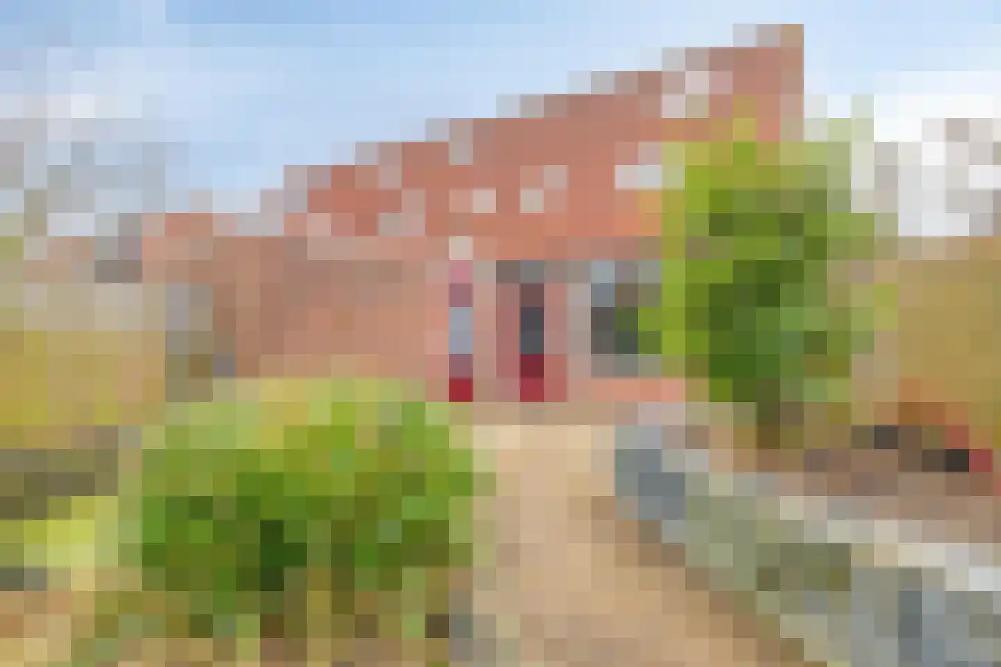 Prins Bernhardlaan 33 Katwijk thumbnail 17