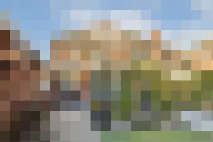 Prins Bernhardlaan 33 Vlaardingen thumbnail 26