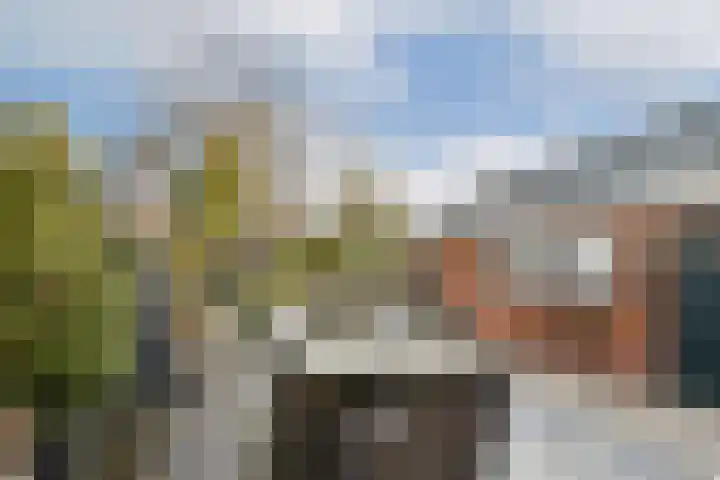 Prins Bernhardlaan 33 Vlaardingen thumbnail 28