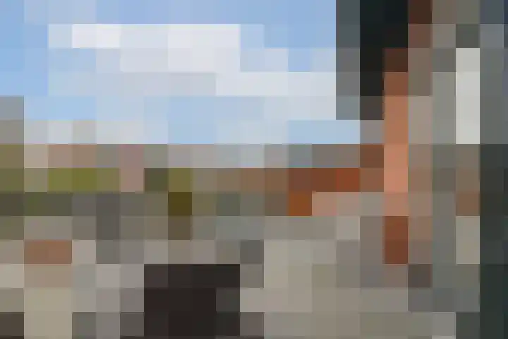 Prins Bernhardlaan 33 Vlaardingen thumbnail 40